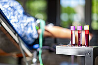 [Translate to Deutsch, leichte Sprache:] 